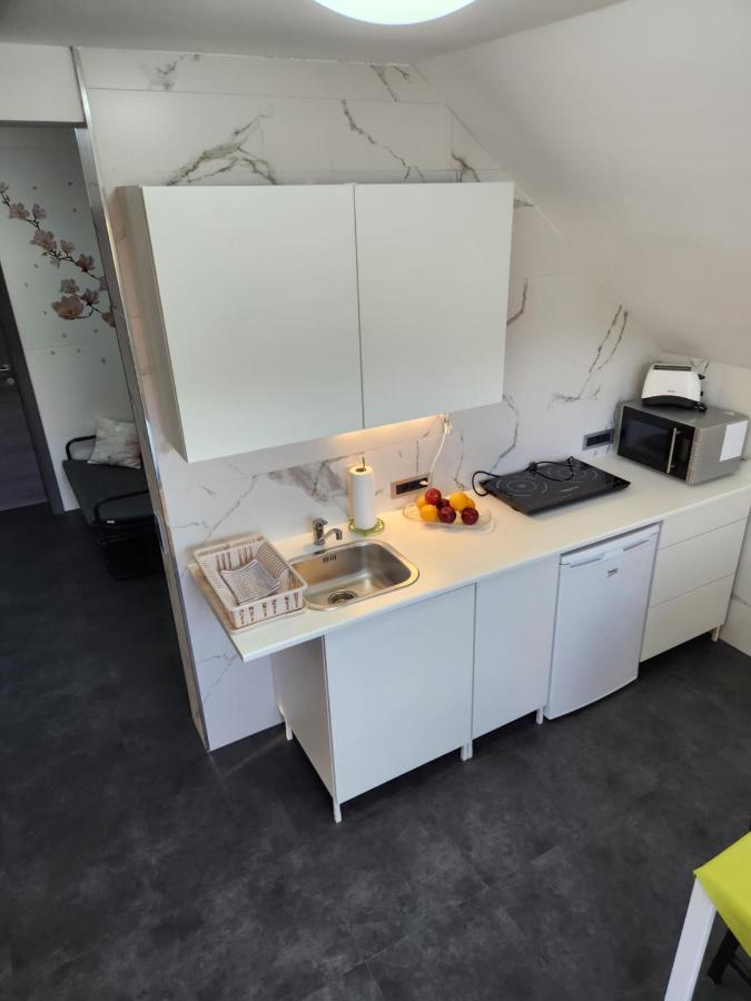 Apartament Vila Rajska Ptica Bled Zewnętrze zdjęcie