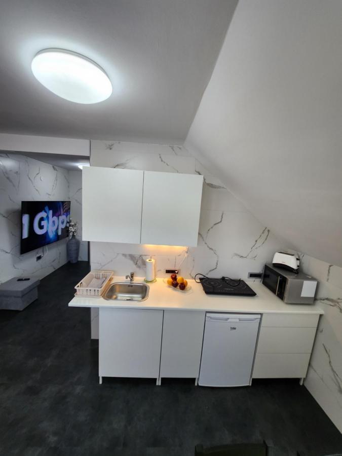 Apartament Vila Rajska Ptica Bled Zewnętrze zdjęcie